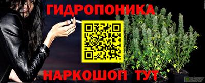 тгк Балаково