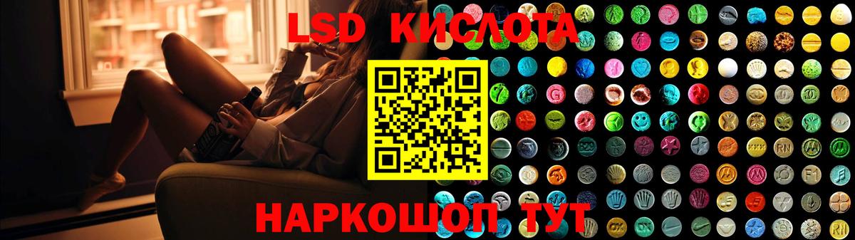 MEGA как войти  LSD-25 экстази ecstasy  ЛСД экстази ecstasy  Вход с VPN  Выборг 