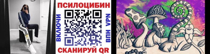 Галлюциногенные грибы Cubensis  Выборг 