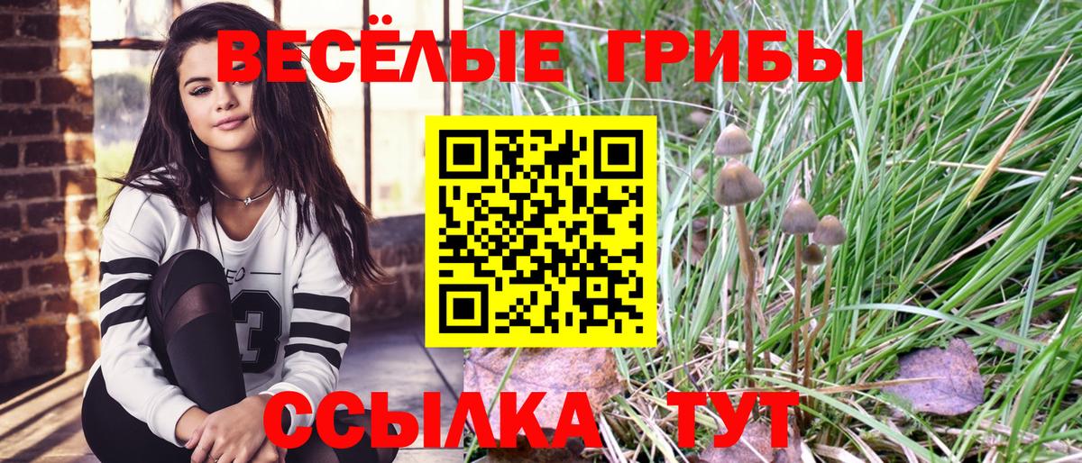 КОКАИН Выборг
