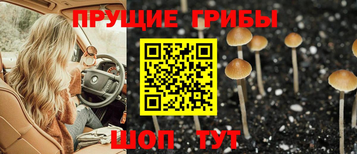 Галлюциногенные грибы MAGIC MUSHROOMS  Выборг  сколько стоит  Галлюциногенные грибы мицелий 