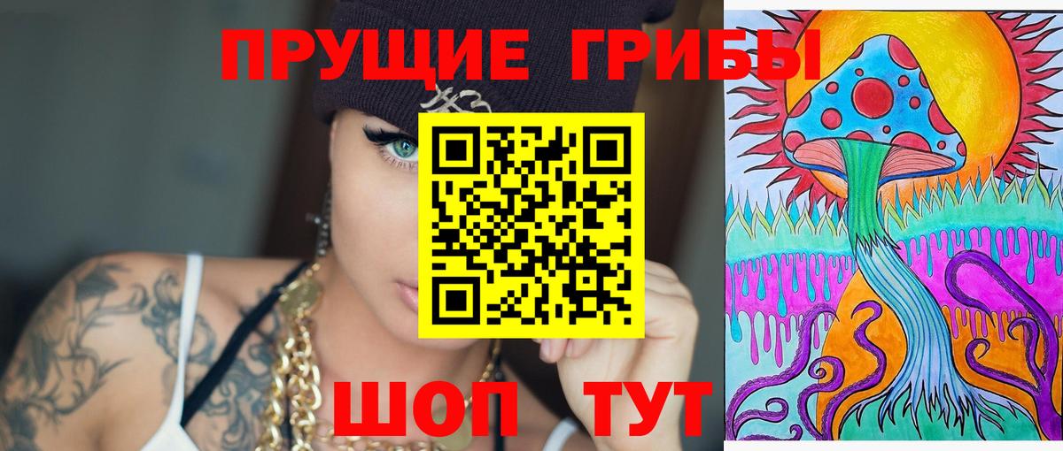 Псилоцибиновые грибы прущие грибы Выборг