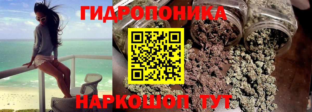 Бошки марихуана марихуана Выборг